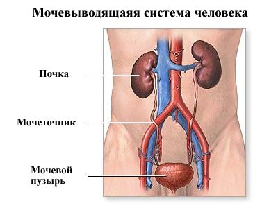 Выходит песок из почек