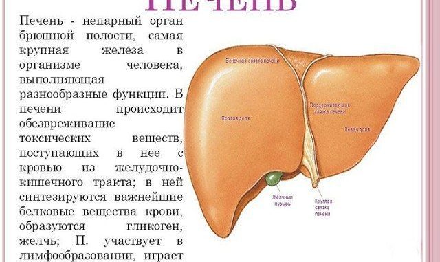 Печеночный фермент