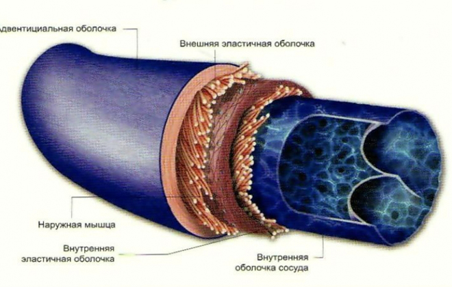 Флебит после катетера как лечить