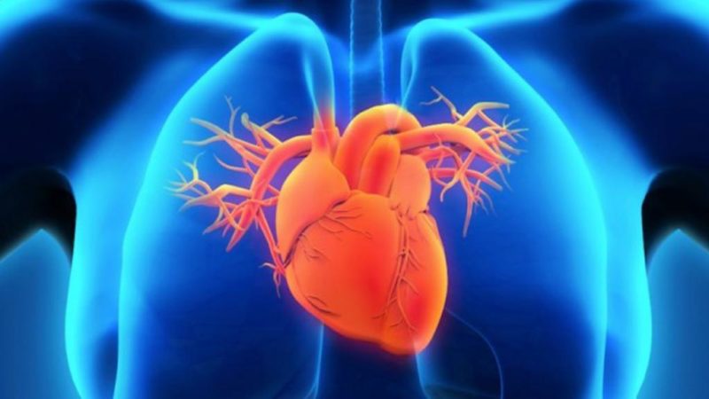 Функциональный класс хсн по nyha