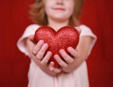 Функции сердца человека кратко