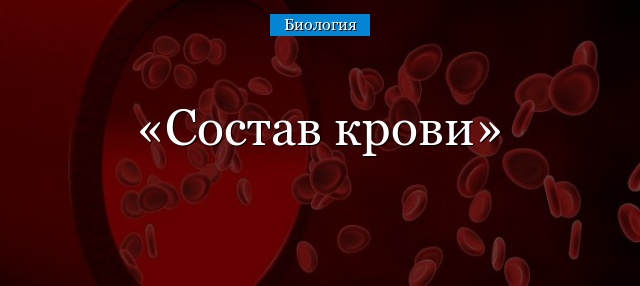 Функции клеток крови человека
