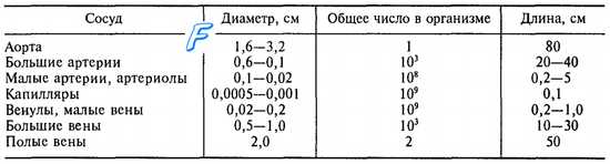 Функции движения крови по сосудам