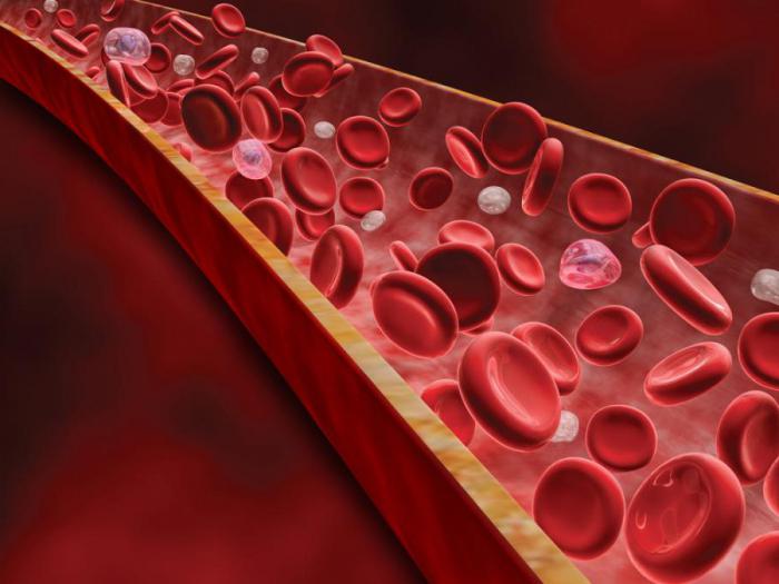 Что такое липиды в крови у женщин?